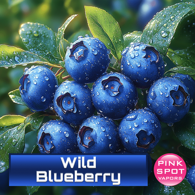 Wild Blueberry Nic-Salts E-Liquid